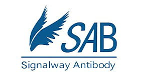 SAB经销代理商，了解更多产品请咨询我司。